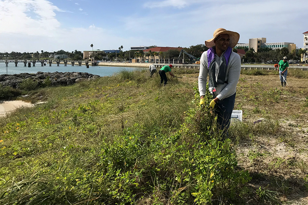 Oxbow_Least-Tern-Habitat-Restoration.jpg